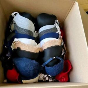 Bras and panties liquidation pallet with branded lingerie for resale